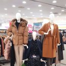 쉬즈미스모다