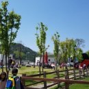 마리의 정원 이미지