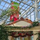 일월수목원전시온실 이미지