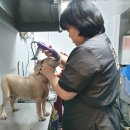 우아한개 이미지