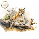 정밀화와 수채화 이미지