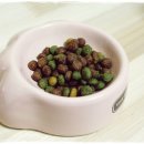 쥬크 소프트 이미지