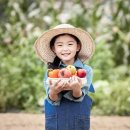 토마토마취통증의학과 네이버블로그