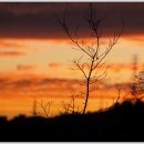 천성낚시터 이미지