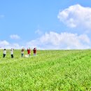 청보리 농장 이미지