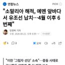소말리아 해적, 예멘 앞바다서 유조선 납치...4월 이후 6번째 이미지
