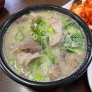 풍년청과 | [제주/맛집] 서귀포오일장 돼지국밥, 보말칼국수 찐맛집 '풍년식당' 후기🌴💙 +제주청과 귤 택배보내기