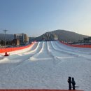 임회면 십일시장 | 1박2일 강원도 커플여행 추천코스 - 대관령, 강릉 중앙시장, 먹거리