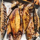 동해시-26 | 26년 1월 24일 동해 여행 ① 다이버구이 방문 후기