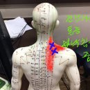 용암형제한의원 이미지