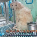 삼각산로 이미지