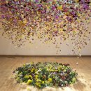 월드컵가든 이미지