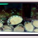 양촌리마을 이미지