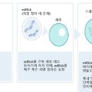 [ET시론]팬데믹 종식의 핵심,'mRNA 백신 기술' 2027년까지 국산화 이미지