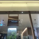 샤브오모무끼 노원점 | 노원 롯데백화점 샤브샤브 아이랑 방문한 샤브오모무끼 점심