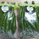 전곡농협협동조합 이미지