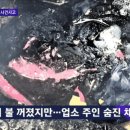 119이용원 이미지