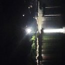 서부해안로 이미지