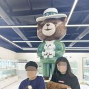 인천강아지분양 테디럽 이미지