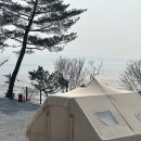 강화도 신생캠핑장 ‘오션포레스트’ 내돈내산 강추 | 모든 사이트 뷰, 명당, 시설, 매점정보 모든것!