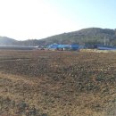 금송목장 이미지