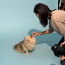 네츄럴플래닛 이미지