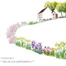 도래도래민박 이미지