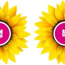 행복 하우스 이미지