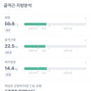 바이오포톤