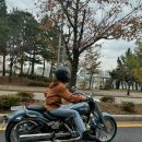 보행자전용도로 3-42 이미지