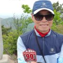 상운산 | (BAC 지정) 한국의 100대 명산인 가지산(加智山) 등산 후기(글: 2019. 04. 25./사진: (2022. 07. 10.)