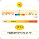 365스포츠