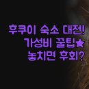 편안잠자리여관 | 후쿠이 온천 숙소 | 전통 여관 Tamashimaso 솔직 비교 | 현대식 호텔 2곳 선택 방법 | 조식 맛집 도르미...