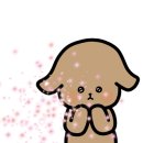 광장스크린골프 이미지