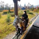 후니짐 | 레고랜드 초등 아이 놀이 기구 추천 점심 식사 먹을만한 것 평일 레고랜드 코리아 다녀온 후기