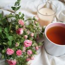 장미약국 이미지