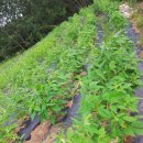 (주)이웃사람들 이미지