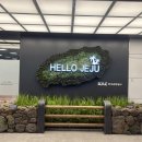 메트로카 | 제주 가성비 렌터카 추천 제주 메트로렌트카 4박 5일 내돈내산 사용 후기