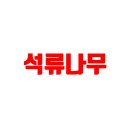 석류나무