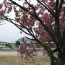 정곡초등학교 이미지