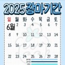 보미뷰티
