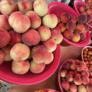 용천농원 이미지