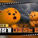 부산관광서비스협동조합(BTS) 정책브리핑