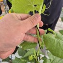 농산물종합가공지원실 이미지