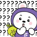 원도 체육관 이미지