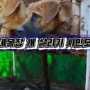 주밤농장 이미지