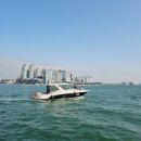 스테이제부 | 거북섬 풍경 바라보며 제부마린스테이 요트 타고 온 후기