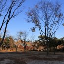 황금비늘 테마거리 이미지