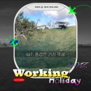 화산건재 | 뉴질랜드 워홀 오클랜드 서점 구경 마운트이든 서밋 산책 | 워홀일기 #7