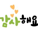 대영종합건재 이미지